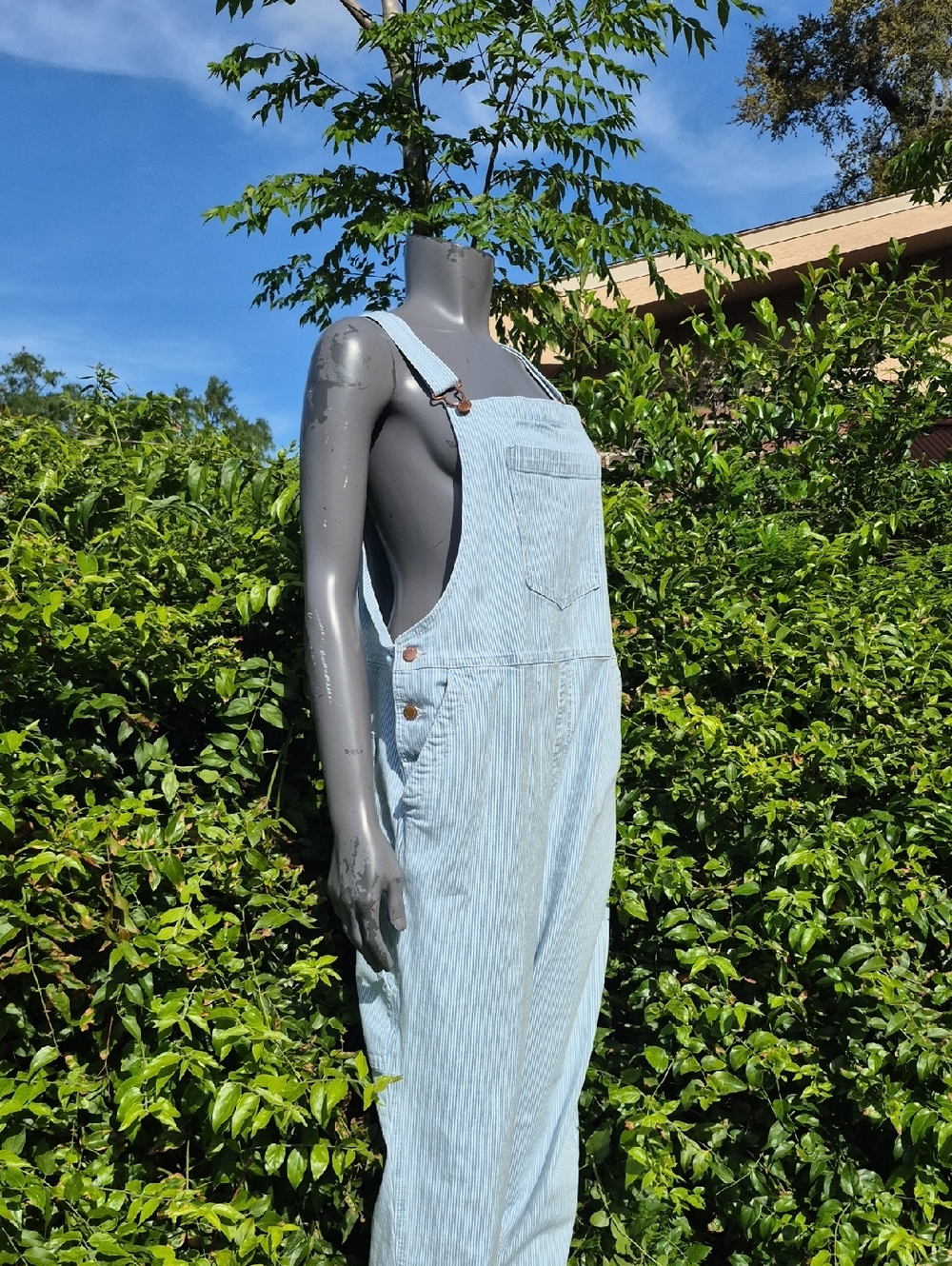 Universal Thread (Vietnam) Women's Railroad Striped Overalls/Metal Accents - Picture 9 of 16